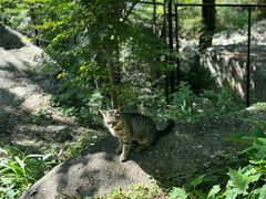 -崂山九水游览区