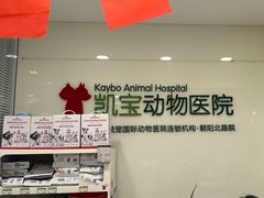 -悦宠凯宝动物医院·牙科·皮肤科(朝阳北路店)