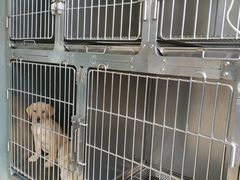 -狗舍宠物医院(四季商业广场店)