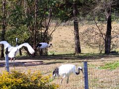 -沈阳森林动物园