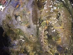 -陶陶居海鲜酒家(新马路店)