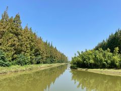 -黄海国家森林公园