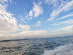 -日照世帆赛基地