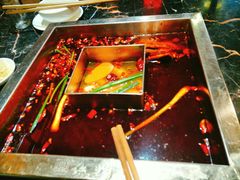-红鼎坊·老成都火锅(新南门店)