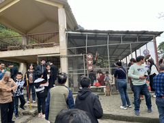 -广西龙虎山风景区