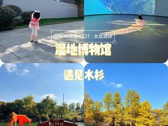 -中国湿地博物馆