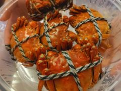 -美豪怡致酒店(上海长寿路店)