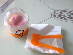 -iceason爱茜茜里·意大利健康冰淇淋(骑龙巷店)