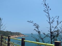 -广东惠东海龟国家级自然保护区
