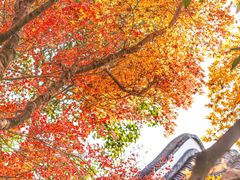 -鼓楼(西湖风景名胜区)