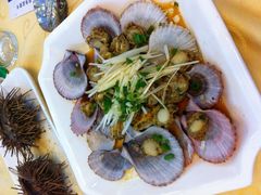 扇贝-海岛渔村大酒店(云霄路店)
