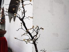 -檀园