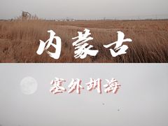 -哈素海