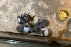 -宝燕乐园(闵行旗舰店)