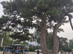 -清西陵