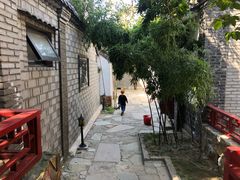 -老张烤羊(王哥庄店)