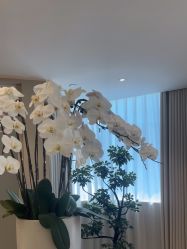 -Yestar宁波艺星整形医院