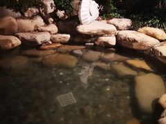 -天目湖涵田半山温泉