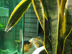 -天一朴素(武汉大学店)