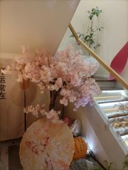 -可樱汇·美容洗发SPA