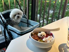 -翊宠yipet猫狗购宠庄园犬舍•猫舍