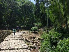 -仙霞关景区