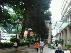 -广州市第一人民医院(院本部)
