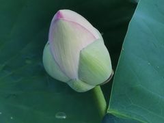 -后襄河公园