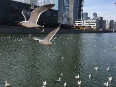 -大连市游泳馆-地面停车场