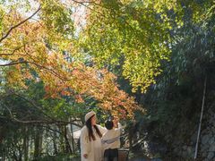 -莫干山风景区