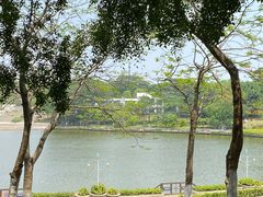 -东莞植物园