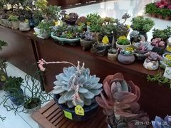 -南京财经大学（仙林校区）-图书馆