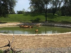 -北京野生动物园