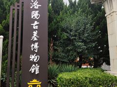 -洛阳古墓博物馆