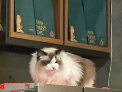 -咖法森林·咖啡  酒吧(天河店)