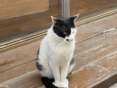 -大碗先生(万家丽店)