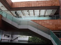 -香港大学