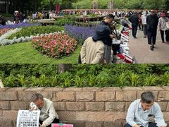 -人民公园-相亲角