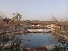 -上海滨江森林公园
