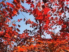 -长春市南湖公园