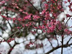 -四川北路(地铁站)