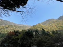 -白云源风景区