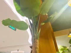 -觅山云南菜(泊富ICITY店)