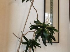 -彬媽糖水(万象天地店)
