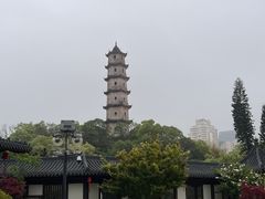 -江心屿景区