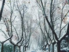 -云龙山