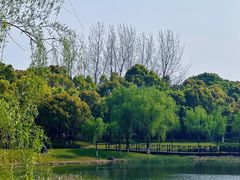 -贡湖湾湿地公园