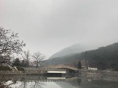 景点-大连森林动物园