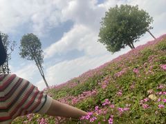 -白鹭湾湿地公园