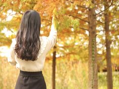 -昆山城市生态森林公园